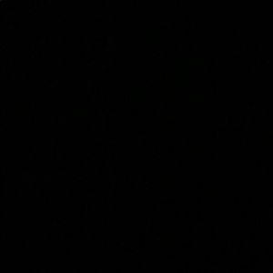 Meet your Posher, Demetrius